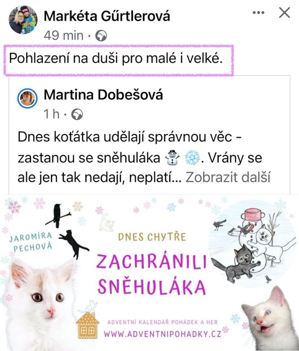 Reference Adventní pohádky